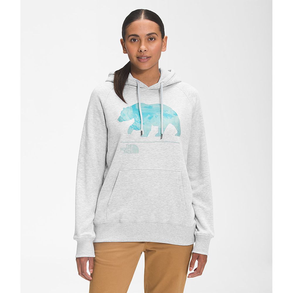 The North Face Sweatshirts Womens Australia - The North Face Bearscape 2.0 Pullover Hoodie Light Gre